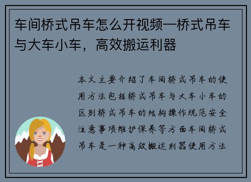 车间桥式吊车怎么开视频—桥式吊车与大车小车,高效搬运利器